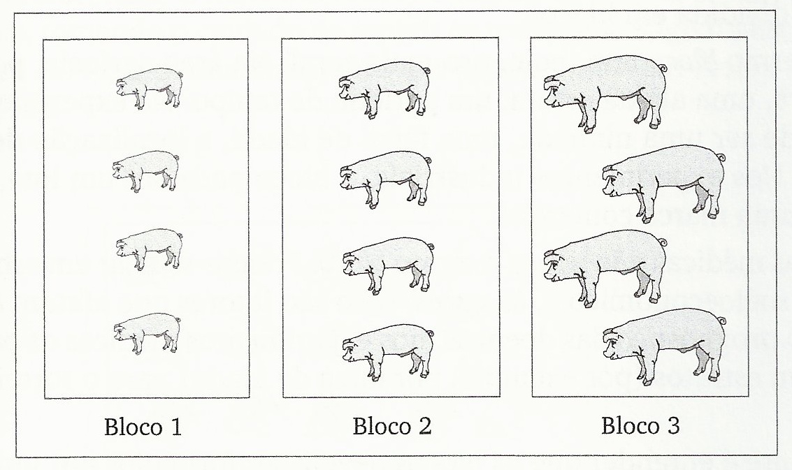 Experimentação animal blocos